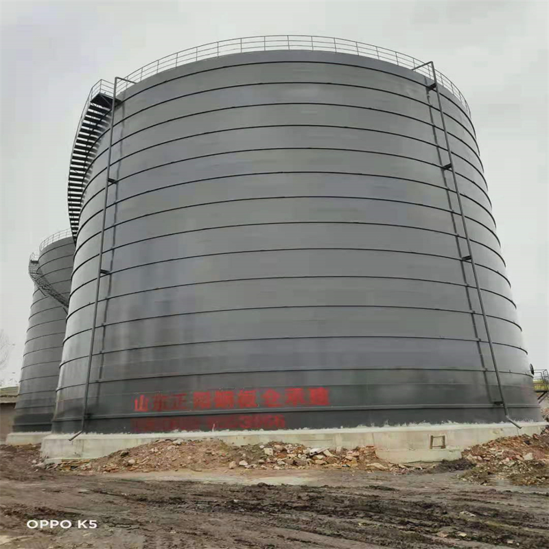 上安乡3万吨大型钢板库