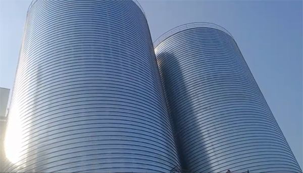 上安乡2座混凝土高架卷板仓